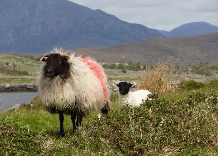 Cill Сasa de vacaciones